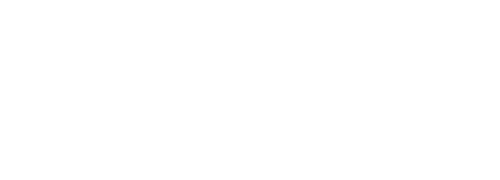 Logo Libertador